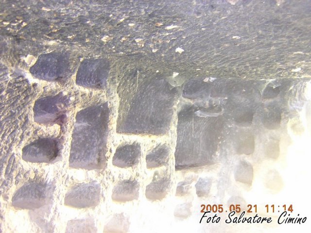 DSCN1229 (Copia)